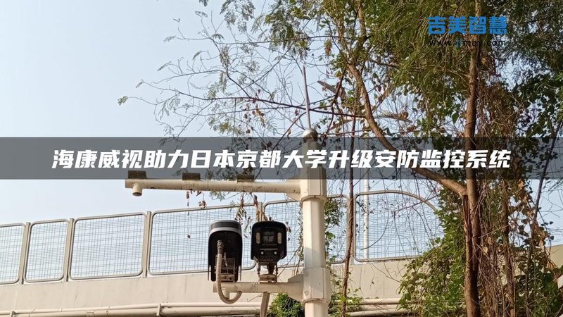 周界分析算法定制开发：守护安全防线的关键技术